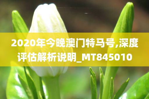 2020年今晚澳门特马号,深度评估解析说明_MT845010