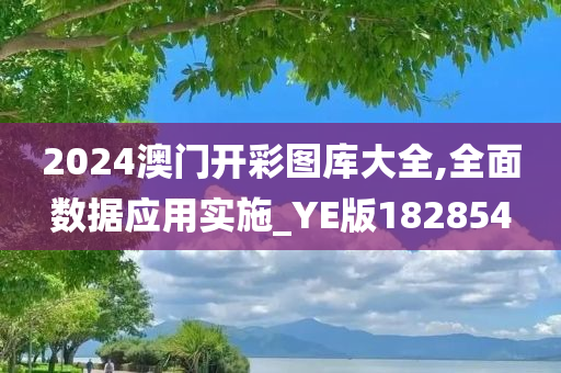 2024澳门开彩图库大全,全面数据应用实施_YE版182854