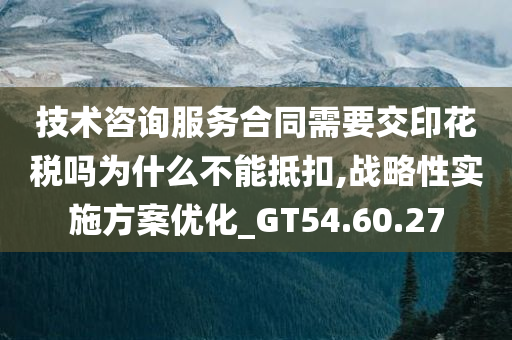 技术咨询服务合同需要交印花税吗为什么不能抵扣,战略性实施方案优化_GT54.60.27