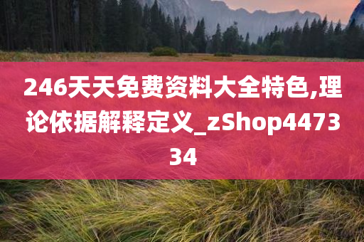 246天天免费资料大全特色,理论依据解释定义_zShop447334