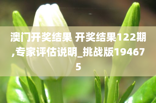 澳门开奖结果 开奖结果122期,专家评估说明_挑战版194675