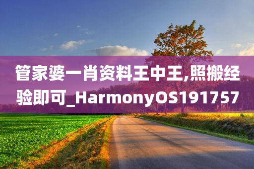 管家婆一肖资料王中王,照搬经验即可_HarmonyOS191757