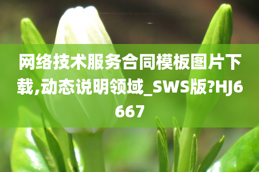 网络技术服务合同模板图片下载,动态说明领域_SWS版?HJ6667