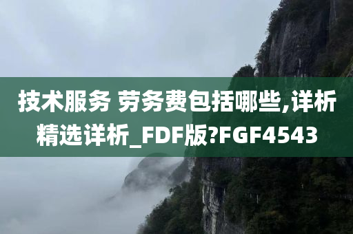 技术服务 劳务费包括哪些,详析精选详析_FDF版?FGF4543