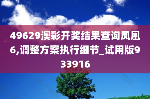 49629澳彩开奖结果查询凤凰6,调整方案执行细节_试用版933916