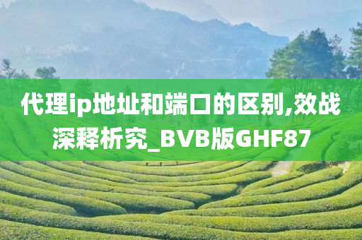 代理ip地址和端口的区别,效战深释析究_BVB版GHF87