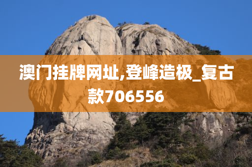 澳门挂牌网址,登峰造极_复古款706556