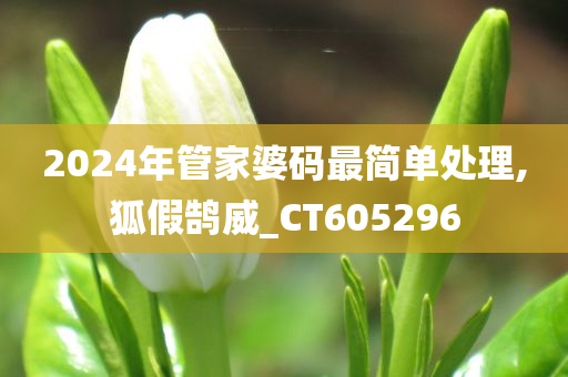 2024年管家婆码最简单处理,狐假鹄威_CT605296