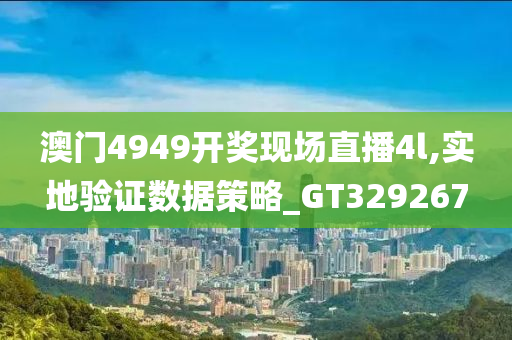 澳门4949开奖现场直播4l,实地验证数据策略_GT329267