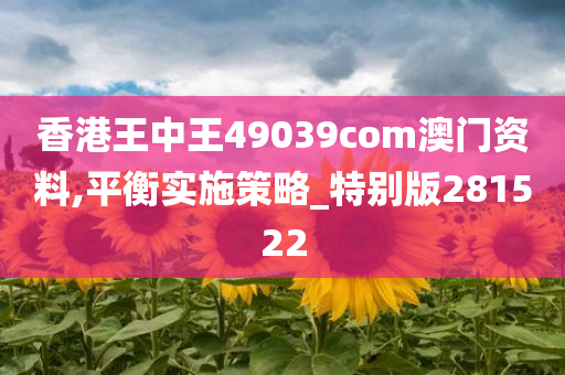 香港王中王49039com澳门资料,平衡实施策略_特别版281522