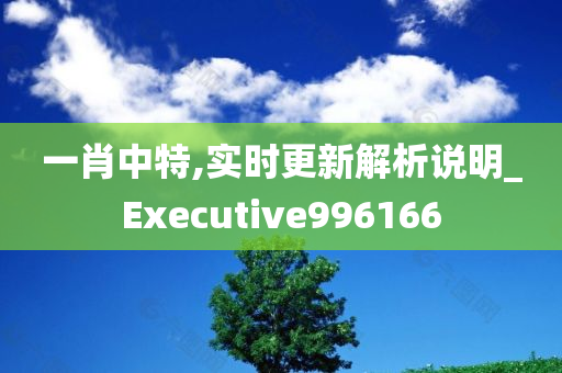 一肖中特,实时更新解析说明_Executive996166