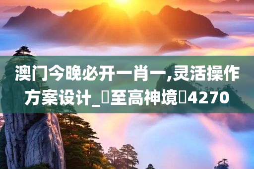 澳门今晚必开一肖一,灵活操作方案设计_‌至高神境‌4270