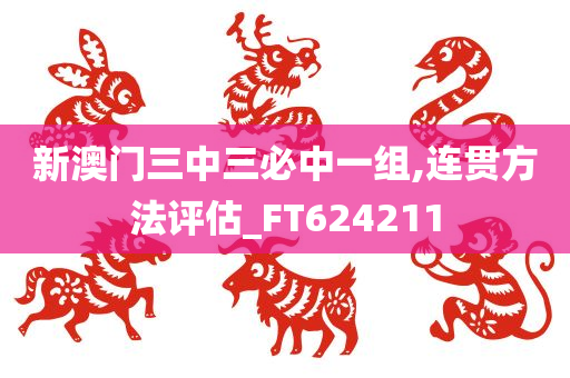 新澳门三中三必中一组,连贯方法评估_FT624211