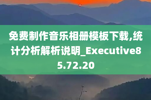 免费制作音乐相册模板下载,统计分析解析说明_Executive85.72.20