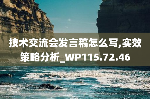 技术交流会发言稿怎么写,实效策略分析_WP115.72.46