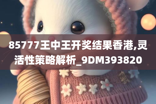 85777王中王开奖结果香港,灵活性策略解析_9DM393820