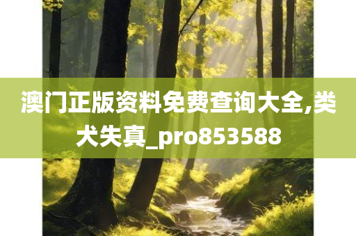 澳门正版资料免费查询大全,类犬失真_pro853588