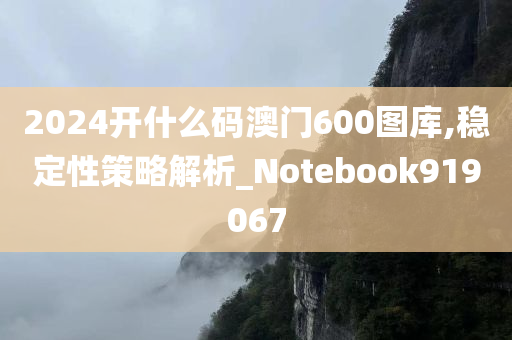 2024开什么码澳门600图库,稳定性策略解析_Notebook919067