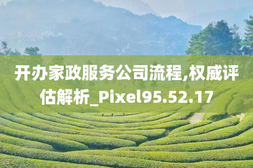 开办家政服务公司流程,权威评估解析_Pixel95.52.17