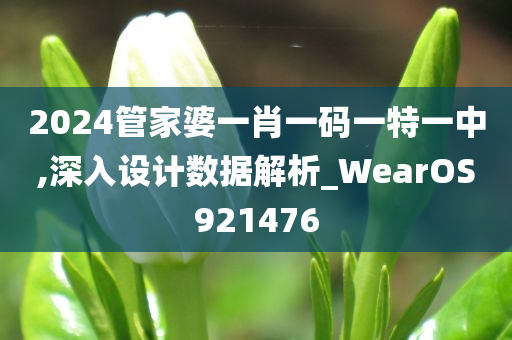 2024管家婆一肖一码一特一中,深入设计数据解析_WearOS921476