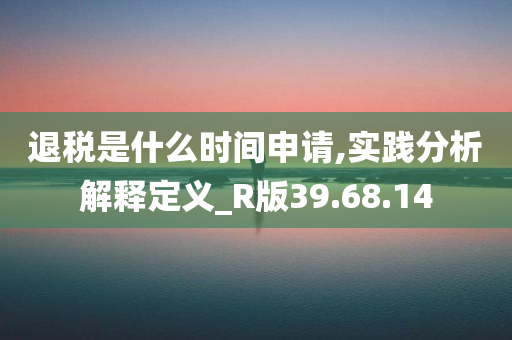 退税是什么时间申请,实践分析解释定义_R版39.68.14