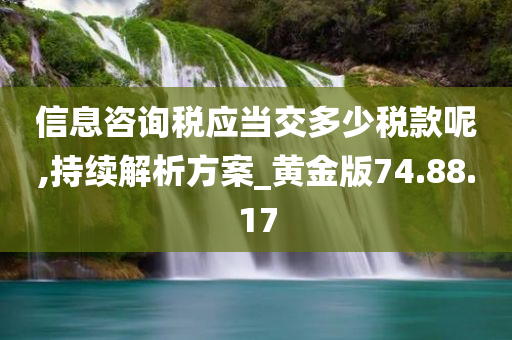 信息咨询税应当交多少税款呢,持续解析方案_黄金版74.88.17