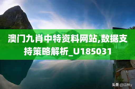 澳门九肖中特资料网站,数据支持策略解析_U185031