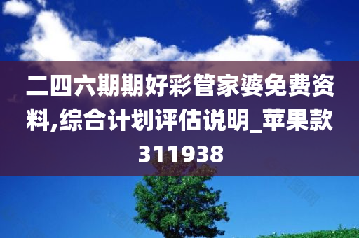 二四六期期好彩管家婆免费资料,综合计划评估说明_苹果款311938