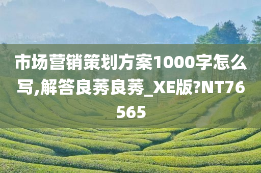 市场营销策划方案1000字怎么写,解答良莠良莠_XE版?NT76565