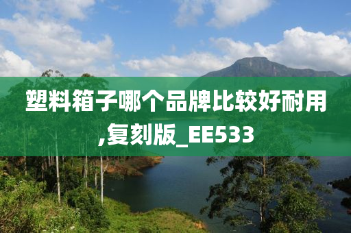 塑料箱子哪个品牌比较好耐用,复刻版_EE533