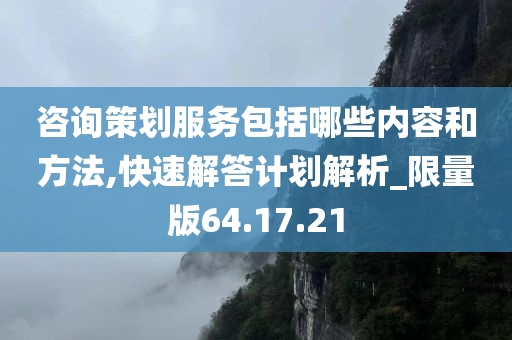 咨询策划服务包括哪些内容和方法,快速解答计划解析_限量版64.17.21