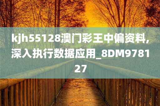 kjh55128澳门彩王中偏资料,深入执行数据应用_8DM978127