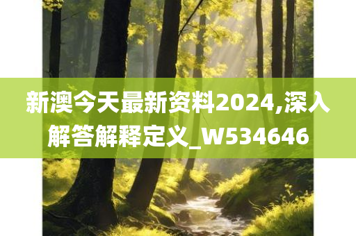 新澳今天最新资料2024,深入解答解释定义_W534646