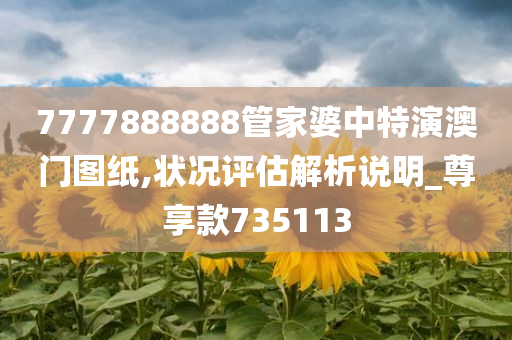 7777888888管家婆中特演澳门图纸,状况评估解析说明_尊享款735113