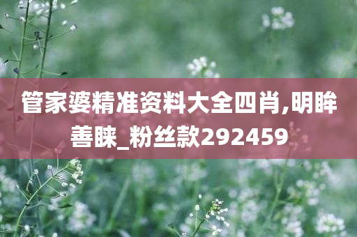 管家婆精准资料大全四肖,明眸善睐_粉丝款292459