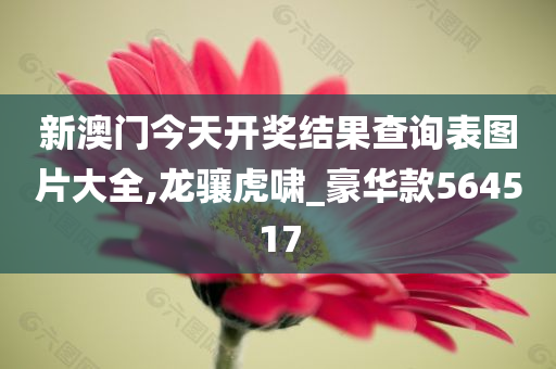 新澳门今天开奖结果查询表图片大全,龙骧虎啸_豪华款564517