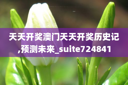 天天开奖澳门天天开奖历史记,预测未来_suite724841