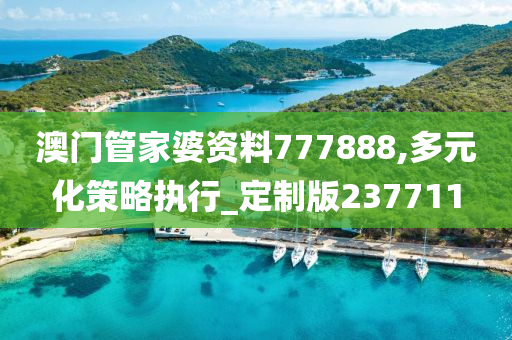 澳门管家婆资料777888,多元化策略执行_定制版237711