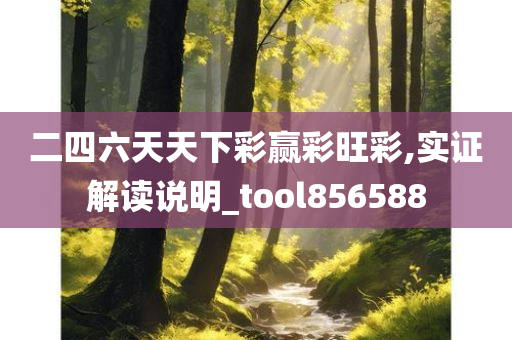 二四六天天下彩赢彩旺彩,实证解读说明_tool856588