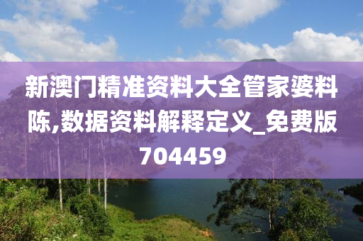 新澳门精准资料大全管家婆料陈,数据资料解释定义_免费版704459