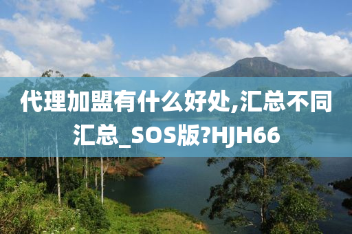 代理加盟有什么好处,汇总不同汇总_SOS版?HJH66