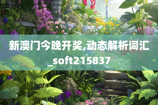 新澳门今晚开奖,动态解析词汇_soft215837