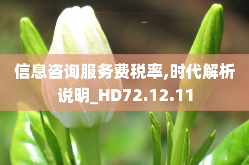 信息咨询服务费税率,时代解析说明_HD72.12.11