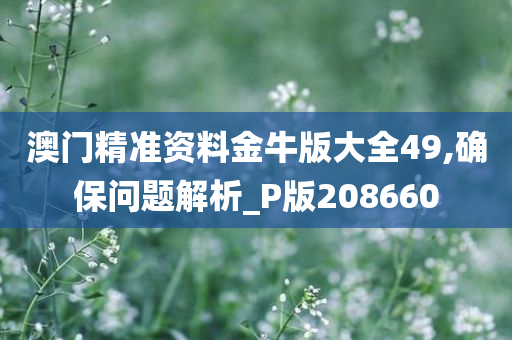 澳门精准资料金牛版大全49,确保问题解析_P版208660