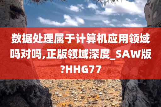 数据处理属于计算机应用领域吗对吗,正版领域深度_SAW版?HHG77