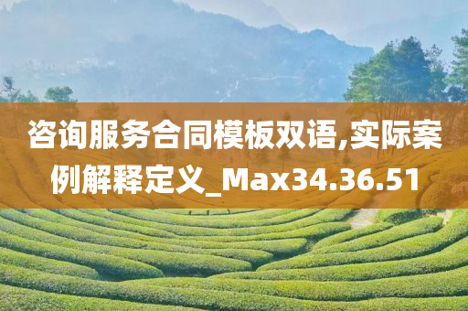 咨询服务合同模板双语,实际案例解释定义_Max34.36.51