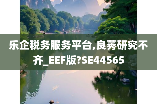 乐企税务服务平台,良莠研究不齐_EEF版?SE44565