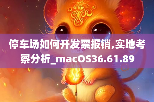 停车场如何开发票报销,实地考察分析_macOS36.61.89