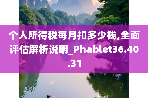 个人所得税每月扣多少钱,全面评估解析说明_Phablet36.40.31