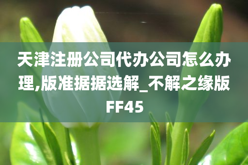 天津注册公司代办公司怎么办理,版准据据选解_不解之缘版FF45